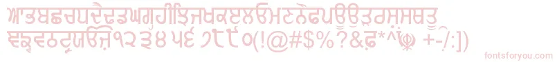 GurmukhiNormal Font – Pink Fonts on White Background