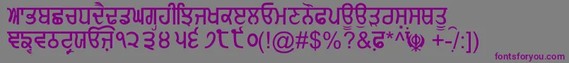 GurmukhiNormal Font – Purple Fonts on Gray Background