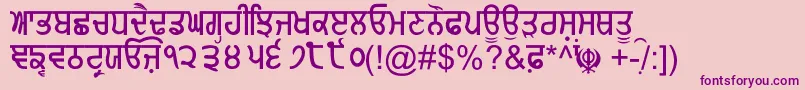 GurmukhiNormal Font – Purple Fonts on Pink Background