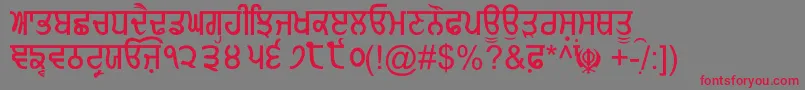 GurmukhiNormal Font – Red Fonts on Gray Background