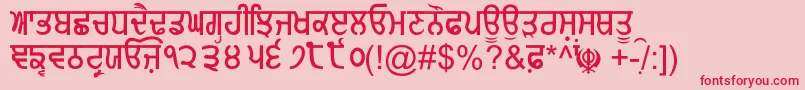 GurmukhiNormal Font – Red Fonts on Pink Background