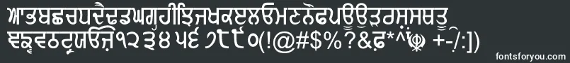 GurmukhiNormal Font – White Fonts