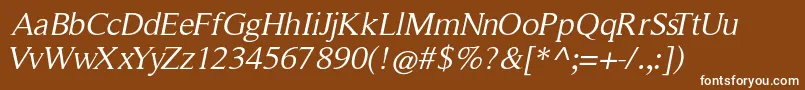 RomanserifOblique Font – White Fonts on Brown Background