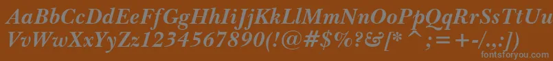 Шрифт BaskervilleWin95btBoldItalic – серые шрифты на коричневом фоне