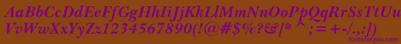 BaskervilleWin95btBoldItalic Font – Purple Fonts on Brown Background