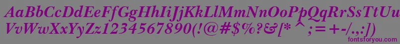 BaskervilleWin95btBoldItalic Font – Purple Fonts on Gray Background