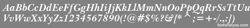 BaskervilleWin95btBoldItalic-fontti – valkoiset fontit harmaalla taustalla