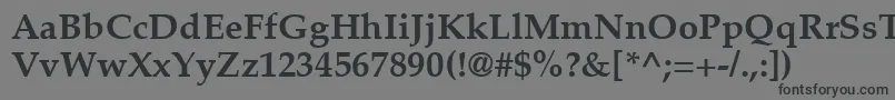 Шрифт PalatinoLtBold – чёрные шрифты на сером фоне