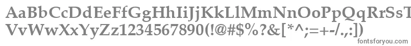 フォントPalatinoLtBold – 白い背景に灰色の文字