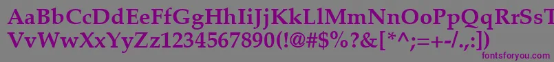 PalatinoLtBold-fontti – violetit fontit harmaalla taustalla