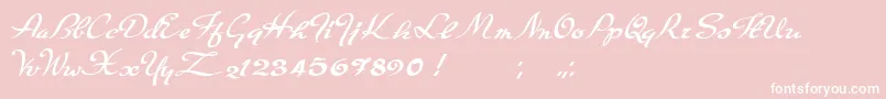 Carpete Font – White Fonts on Pink Background