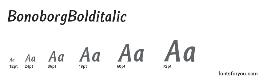 BonoborgBolditalic Font Sizes