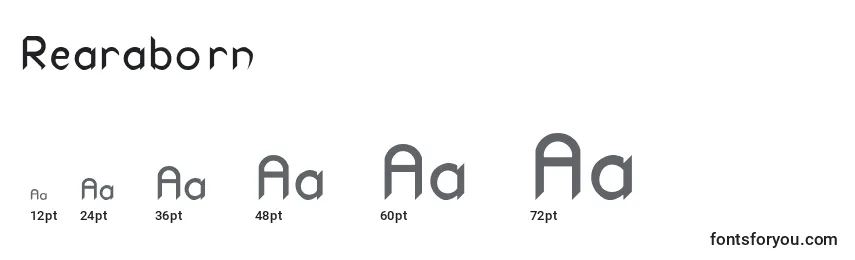 Rearaborn Font Sizes