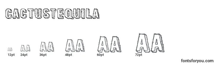 CactusTequila Font Sizes