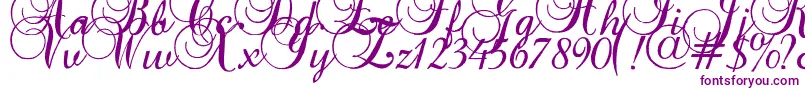 Baroque-Schriftart – Violette Schriften auf weißem Hintergrund