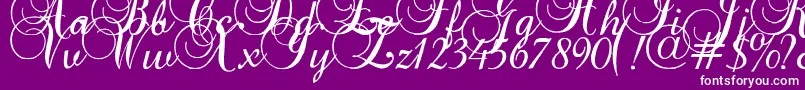 Baroque Font – White Fonts on Purple Background