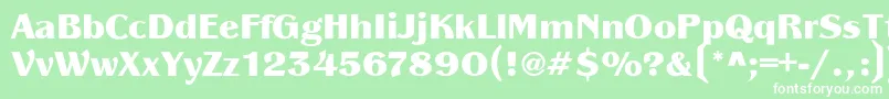 PanacheBlack Font – White Fonts on Green Background