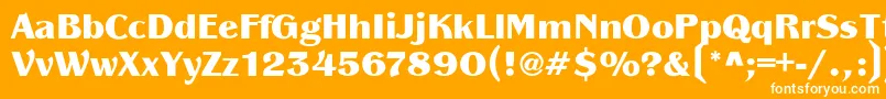 PanacheBlack Font – White Fonts on Orange Background