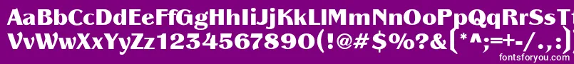 PanacheBlack Font – White Fonts on Purple Background