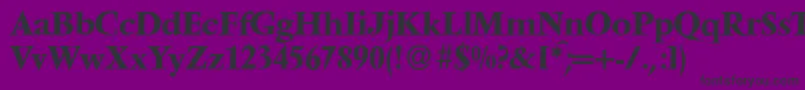 V691RomanBold Font – Black Fonts on Purple Background