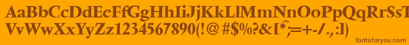 V691RomanBold Font – Brown Fonts on Orange Background