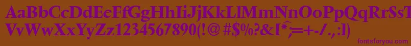 V691RomanBold Font – Purple Fonts on Brown Background