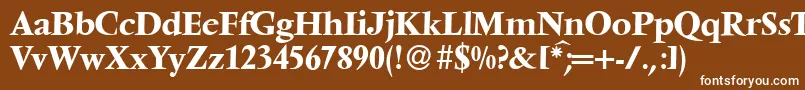V691RomanBold Font – White Fonts on Brown Background