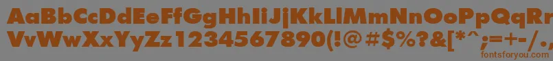 Futur2 Font – Brown Fonts on Gray Background