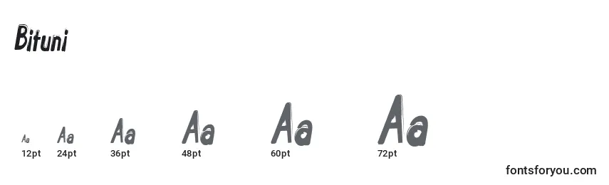 Bituni Font Sizes