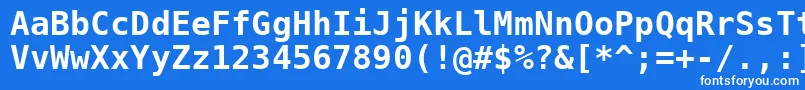 フォントDejavusansmono ffy – 青い背景に白い文字