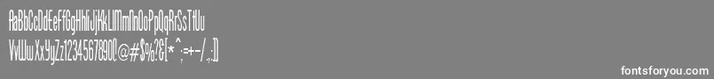 フォントBorzoiMedium – 灰色の背景に白い文字