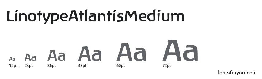 Размеры шрифта LinotypeAtlantisMedium