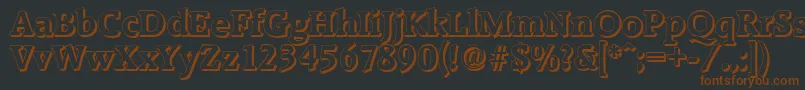 RaleighshadowBold Font – Brown Fonts on Black Background