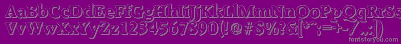 RaleighshadowBold Font – Gray Fonts on Purple Background