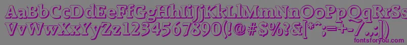 RaleighshadowBold-fontti – violetit fontit harmaalla taustalla