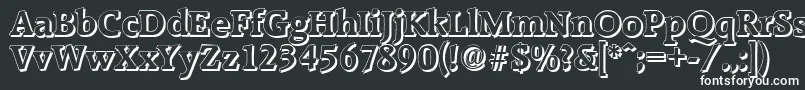 RaleighshadowBold-fontti – valkoiset fontit mustalla taustalla