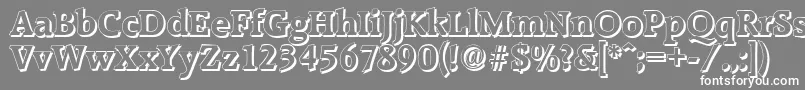 RaleighshadowBold-fontti – valkoiset fontit harmaalla taustalla