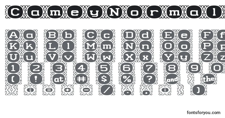 Czcionka CameyNormala – alfabet, cyfry, specjalne znaki