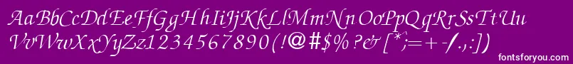 ZabriskiescriptRegularitalicDb Font – White Fonts on Purple Background