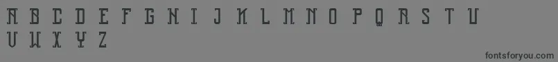 Reliquary Font – Black Fonts on Gray Background