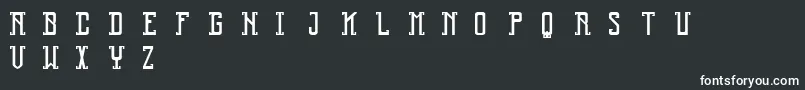 Reliquary Font – White Fonts on Black Background