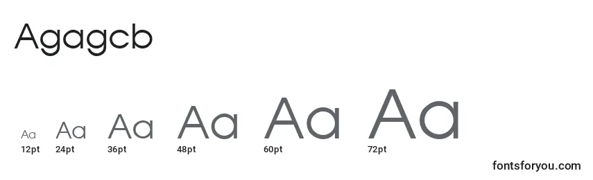 Размеры шрифта Agagcb