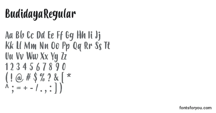 Czcionka BudidayaRegular – alfabet, cyfry, specjalne znaki