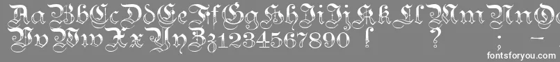 TeutonicNo3Demibold Font – White Fonts on Gray Background