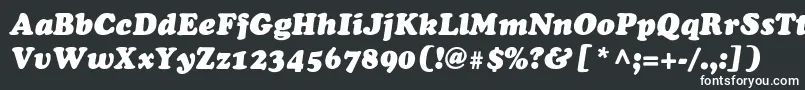 フォントChaceyblackThinItalic – 白い文字