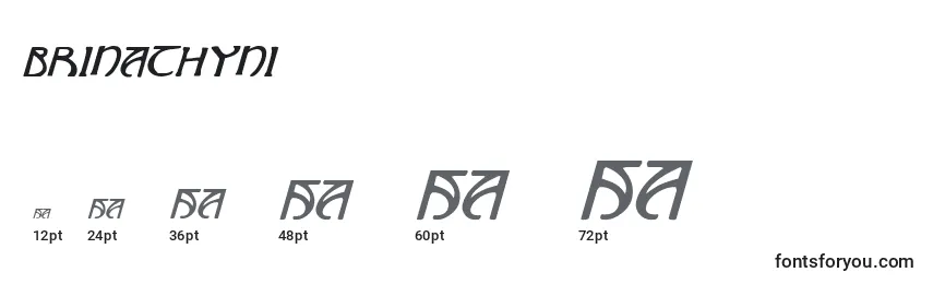 Размеры шрифта Brinathyni
