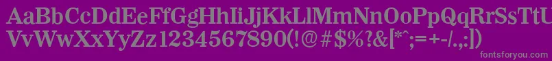 WichitaserialBold Font – Gray Fonts on Purple Background