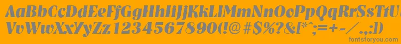 NashvilleserialXboldItalic Font – Gray Fonts on Orange Background