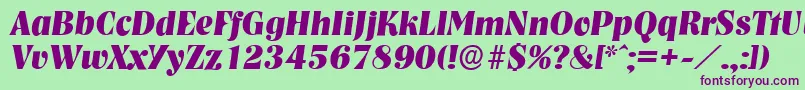 NashvilleserialXboldItalic Font – Purple Fonts on Green Background