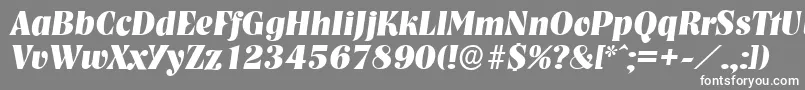 フォントNashvilleserialXboldItalic – 灰色の背景に白い文字